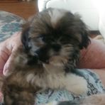 Sandra Feil - Facebook