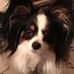 Sandra Fenwick - Facebook