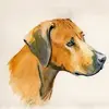 Sandra Fikes - @jridgebacks - TikTok