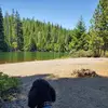Sandy - @sandrafincher - TikTok