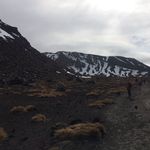 Sandra Findlay - @_findlay.s_ - Instagram