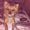 sandra findlay - @sandrafindlay0 - TikTok