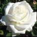 Sandra Fine - Facebook