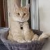 Finney Sandra - Facebook