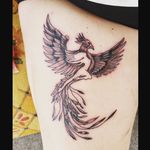 Sandra Finney - @finneysandra - Instagram