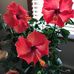 Sandra Finney - Facebook