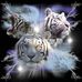 Sandra Finzel - Facebook