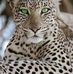 Sandra Finzel - Facebook