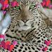Sandra Finzel - Facebook