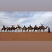 Sandra Firmani - Facebook