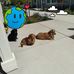 Sandy Flaherty - Facebook