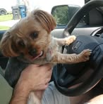 Sandra Flanders - Facebook