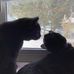 Sandra Fleischmann - Facebook