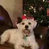 Sandra Fleischmann - @sandra.fleischman - TikTok