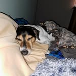 Sandra Flick - @flick4060 - Instagram