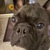 Sandra Flocke - @sandraflockerzie - TikTok