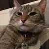 sandraflocke343 - @sandraflocke343 - TikTok