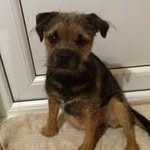 Sandra Flood - @sandra.flood.14 - Instagram