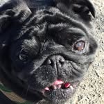 sandra flood - @flood1248 - Instagram