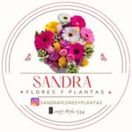 SANDRA flores y plantas - @sandrafloresyplantas - Instagram
