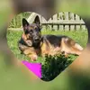 Sandra Florian416 - @sandraflorian41 - TikTok