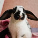 Sandra Florián Gažikovy - @sandra_florian_gazikovy_ - Instagram