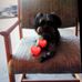 Sandra Flournoy - Facebook