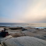Sandy Fogle Doman - @sandy_doman - Instagram