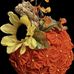 Sandy Leonard Fogle - Facebook