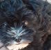 Sandra Fogleman - Facebook