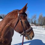 Sandra Folkesson - @sandra.folkesson - Instagram