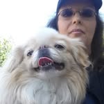 Sandra Forman - @sandraforman - Instagram