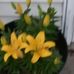 Sandra Forney - Facebook