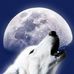 Sandra Foshee - Facebook