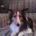 Sandy Foshee - Facebook