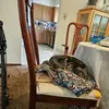 sandrafraley - @sandrafraley - TikTok