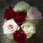 Sandra Peulen - @sandra.franssen.58 - Instagram