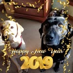 Sandra Franzen - @sandra.franzen.589 - Instagram