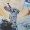user1280238858381 - @sandrafraser8 - TikTok