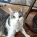 Sandra Frasier - Facebook