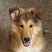 Sandra Fromm-Frederickson - Facebook