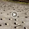 Sandra Freeland458 - @sandrafreeland458 - TikTok