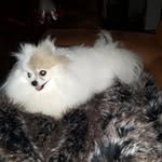 Sandra Freeland - @2eyesbl - Instagram