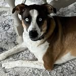 Sandra Freeland - @freeland1293 - Instagram