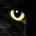 Sandra Freese - Facebook