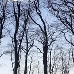 sandra - @sandra.frew_ - Instagram