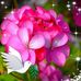 Sandra Froehlich - Facebook