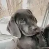 Sandra Froehlich - @sandra.froehlich - TikTok