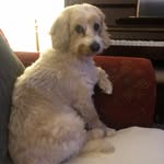 Sandra Fullerton - @sandrafullerton1502 - Instagram