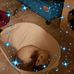 Sandy Fullerton - Facebook